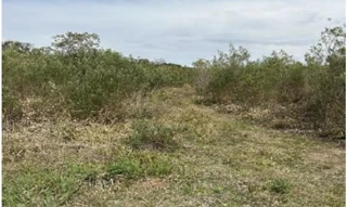 Imóvel 2652300 [''] - ['Estrada Municipal, s/n° - Área Rural, localizada em Poço Preto, Distrito de Soares. - Zona Rural - Rio Azul / PR'] [''] - ['Rio Azul']/['PR'] - 1