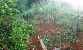 Imóvel 2655300 [''] - ['Rua F'] [''] - ['Londrina']/['PR'] - 1