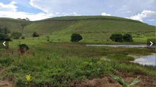 Imóvel 2357700 [''] - ['Propriedade rural denominada "ENGENHO RICO'] [''] - ['Jaboatão Dos Guararapes']/['PE'] - 1