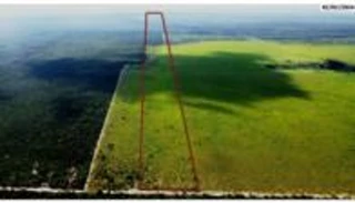 Imóvel 2649500 [''] - ['Rodovia BR 364'] [''] - ['Brasnorte']/['MT'] - 1