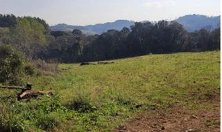 Imóvel 2523000 [''] - ['Fazenda dos Vieiras, Distrito de Ibiam, Comarca de Tangará'] [''] - ['Tangará']/['SC'] - 1