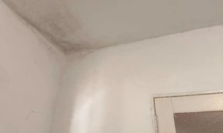 Imóvel 2611400 [''] - ['Rua Antônio Alcazar, 5-57'] ['Núcleo Habitacional Mary Dota'] - ['Bauru']/['SP'] - 1