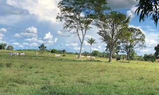 Imóvel 2875200 [''] - ['Linha 6, km 10,5 rumo escondido, no município de Colorado do Oeste/RO. Saindo de Colorado do Oeste, sentido Cabixi, percorrer por aproximadamente 19 km, virar a direita, percorrer por aproximadamente 10,5 km onde estará localizado do lado direito da via'] [''] - ['Colorado Do Oeste']/['RO'] - 1