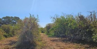 Imóvel 2857100 [''] - ['Av. Vitória Régia, s/n, Fazenda Santa Maria, Serra do Salitre/MG'] [''] - ['Serra Do Salitre']/['MG'] - 1