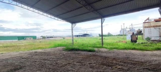 Imóvel 2568000 [''] - ['Rua sem denominação'] ['São Bento'] - ['Boa Vista']/['RR'] - 1