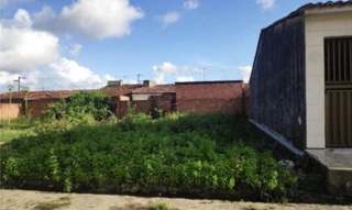 Imóvel 2570000 [''] - ['Rua Projetada B, S/N- Loteamento Villa Verde'] [''] - ['Capela']/['SE'] - 1