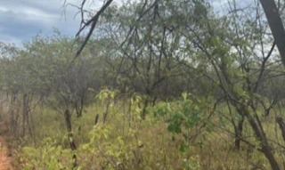 Imóvel 2714200 [''] - ['Sitio Pitombeira, s/n, Parte de Terras, Área rural, Umarizal, RN, 59865-000, , Umarizal/RN'] [''] - ['Umarizal']/['RN'] - 1