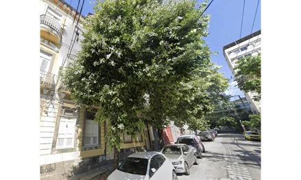 Casa em Rio de Janeiro, Glória, R. Santo Amaro, 73 - Glória, RJ. Área: nullm2 - imagem 0