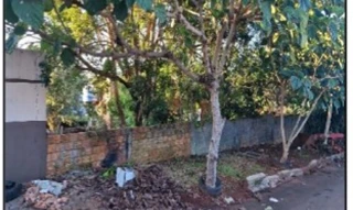 Imóvel 2963500 ['10309344'] - ['RUA HORAVIO ANTONIO CORREIA,N. 00 QD 07, LT 02, VILA SANTA CRUZ - CEP: 85160-000, CANTAGALO - PARANA'] ['Vila Santa Cruz'] - ['Cantagalo']/['PR'] - 1