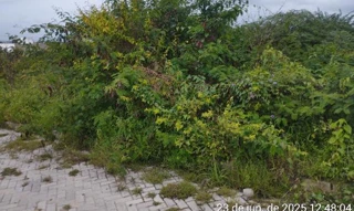 Imóvel 2673600 ['8444428661026'] - ['RUA PROJETADA 16,N. 31 QD J LT 31, BOA VISTA - CEP: 55000-000, CARUARU - PERNAMBUCO'] ['Santa Rosa'] - ['Caruaru']/['PE'] - 1