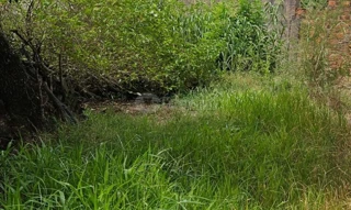 Imóvel 2732400 [''] - ['Rua Juvenil Emílio Dias, Bairro Gaúcho'] ['Gaúcho'] - ['Camaquã']/['RS'] - 1