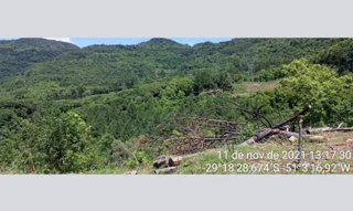Imóvel 3031100 [''] - ['Nao informado Nao informado situado na Linha Riachuelo'] [''] - ['Nova Petrópolis']/['RS'] - 1
