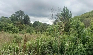 Imóvel 2646101 [''] - ['Estrada Asfaltada Br-277 (Rodovia do Café), s/nº - Terreno (Lote 7) - Zona Rural - Balsa Nova / PR'] [''] - ['Balsa Nova']/['PR'] - 1