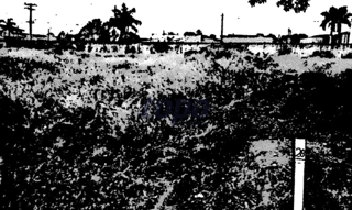 Casa em Campinas, Bosque De Barão Geraldo, Av. Eng. Jorge Bierrembach de Castro, n. 50, casa 34, Condomínio Residencial Portal da Mata I, Bosque de Barão Geraldo, Campinas - SP, 13082-758, SP. Área: 216m2 - imagem 0