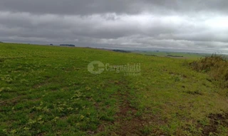 Imóvel 2836901 [''] - ['Fração de terras de campo, com área de 357ha 8.780m², dentro de área maior de 515ha 8.780m², situada no Município de Pinhal Grande'] [''] - ['Pinhal Grande']/['RS'] - 1