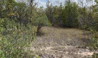 Imóvel 2970901 [''] - ['Fazenda Mundo Novo, Parte 01, do Lote 04-A, do Loteamento Caracol, Zona Rural, NATIVIDADE - TO, CEP 77.370-000'] [''] - ['Natividade']/['TO'] - 1
