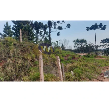Terreno em São José dos Pinhais, Guatupê, Rua Maria da Silva Primo, s/n, PR. Área: nullm2