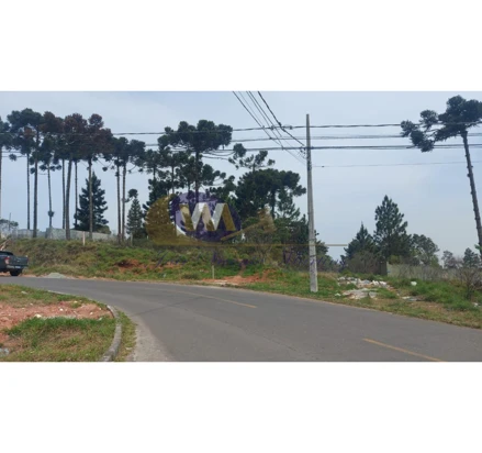 Terreno em São José dos Pinhais, Guatupê, Rua Maria da Silva Primo, s/n, PR. Área: nullm2 - imagem 0