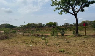 Imóvel 2544201 [''] - ['Lote nº 05 da Quadra nº 47'] [''] - ['Araguacema']/['TO'] - 1