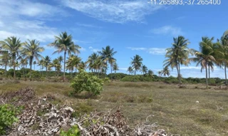 Imóvel 2275501 ['IDR184666'] - ["Rodovia Camilo Calazans de Magalhães (Estrada do Abais), s/n, Quadra 68, Lote 08, Loteamento Vila Rica do Abais, Itaporanga D'ajuda, SE, 49120-000"] [''] - ["Itaporanga D'Ajuda"]/['SE'] - 1