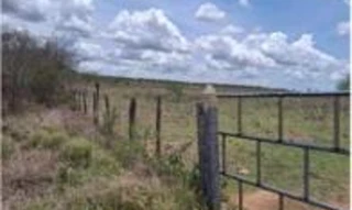 Imóvel 3028401 [''] - ['Fazenda Boa Esperança I, cercado por arame farpado, destinado ao plantio de capim e culturas como o milho, distante cerca de 35 km da sede do município, próx. à Rodovia AL-220'] [''] - ['Girau Do Ponciano']/['AL'] - 1