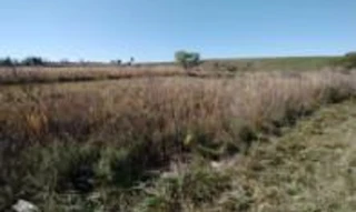 Imóvel 2679301 [''] - ['Estrada Federal BR 293, Km 136,5'] [''] - ['Candiota']/['RS'] - 1