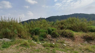 Imóvel 2949401 [''] - ['Ac Guararema, Centro'] [''] - ['Guararema']/['SP'] - 1