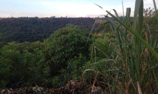 Imóvel 2655401 [''] - ['Gleba Cambe, lote 74'] ['Judith'] - ['Londrina']/['PR'] - 1