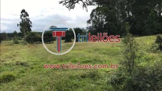 Imóvel 2303901 [''] - ['Fundos Ribeirão Carneiro'] [''] - ['Rio Do Campo']/['SC'] - 1