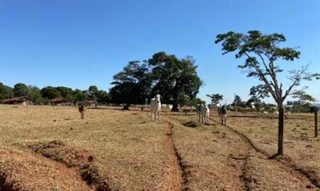 Imóvel 2516001 [''] - [''] [''] - ['outras']/['na'] - 1