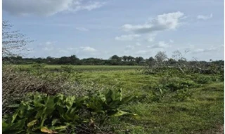 Imóvel 2652302 [''] - ['Estrada Municipal, s/n° - Área Rural (Lote Colonial Definitivo n° 096) - Zona Rural - Bragança / PA'] [''] - ['Bragança']/['PA'] - 1