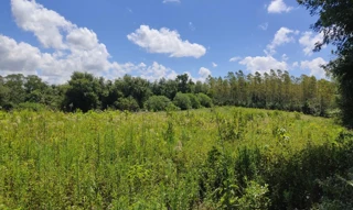 Imóvel 2646502 [''] - [''] [''] - ['São José Do Inhacorá']/['RS'] - 1