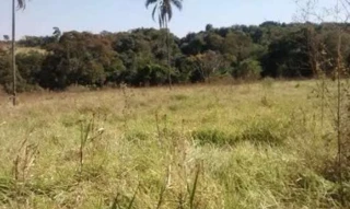 Imóvel 2517302 [''] - ['seguindo pela , Rodovia Rio Negro e Solimões sentido Franca a Batatais, após o km 395 + 400 metros, entrada à direita. Fica aos fundos da Fazenda Miraflor'] [''] - ['Restinga']/['SP'] - 1