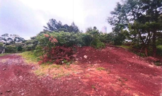 Imóvel 3062102 [''] - ['Rua Santos Dumont, sn (Lote 16 da Quadra 09)'] [''] - ['Erval Grande']/['RS'] - 1