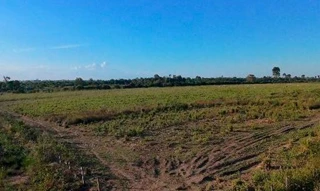 Imóvel 2596602 [''] - ['Nao informado Nao informado'] [''] - ['Goianésia Do Pará']/['PA'] - 1