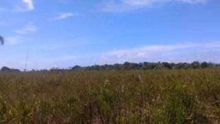 Imóvel 2601902 [''] - ['Rua do Cacau, Lt 20 da Qd 26, Balneário Jardim Tropical, Ilha Comprida, SP'] [''] - ['Ilha Comprida']/['SP'] - 1