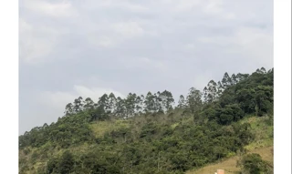 Imóvel 2858302 [''] - ['localizado no Baú Baixo, no final da Estrada da Fruteira'] [''] - ['Ilhota']/['SC'] - 1