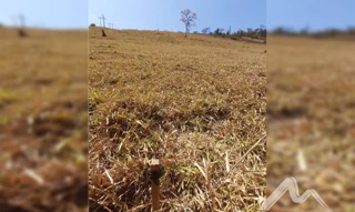 Imóvel 2503802 [''] - ['Rua E, - Loteamento “D. Zinha I Inhapim - MG'] [''] - ['Inhapim']/['MG'] - 1