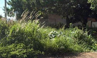 Imóvel 2724902 [''] - ['Rua Dedal, s/n - Lote 38 da quadra 166 - Morumbi - Uberlândia / MG'] ['Morumbi'] - ['Uberlândia']/['MG'] - 1