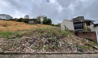 Imóvel 2570502 [''] - ['Rua Maria de David, s/nº- ao lado esquerdo da casa nº 220'] ['São Caetano'] - ['Caxias Do Sul']/['RS'] - 1