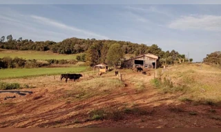 Imóvel 2911603 [''] - ['Fazenda Garipunas, no Pequeno Reassentamento Rural São Pedro II, na localidade de São Pedro'] [''] - ['Celso Ramos']/['SC'] - 1
