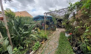 Imóvel 2597303 [''] - ['Rua Coronel Randolfo Guasque, 446, Arroio da Manteiga, São Leopoldo/RS'] ['Arroio da Manteiga'] - ['São Leopoldo']/['RS'] - 1