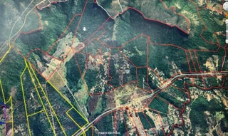 Imóvel 2866603 [''] - ['Lote 06-A, parte do lote 06, do Loteamento Córrego Marmelada, com área de 55,6600 ha de cerrado'] [''] - ['Palmas']/['TO'] - 1