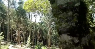 Imóvel 3001603 [''] - ['GLEBA DE TERRA RURAIS, LOCALIZADA NO MUNICÍPIO DE CURITIBANOS'] [''] - ['Curitibanos']/['SC'] - 1