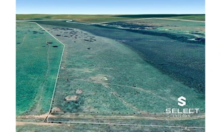 Imóvel Rural em Leilão em Santa Rita Do Pardo / MS - Imóvel 2649403 ...