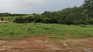 Imóvel 2949403 [''] - ['R. Bahia - De 1 A 99998, Centro'] [''] - ['Nipoã']/['SP'] - 1