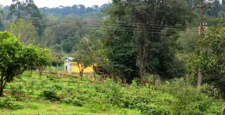 Imóvel 2483003 [''] - ['Fazenda Britânia da Linha Guavirá'] [''] - ['Marechal Cândido Rondon']/['PR'] - 1