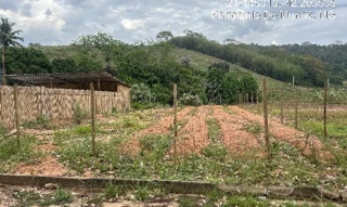 Imóvel 2594403 ['1444422915419'] - ['RUA ZILDA MOREIRA SILVA,N. SN LT 12 QD UNICA, SAPUCAIA - CEP: 36860-000, PATROCINIO DO MURIAE - MINAS GERAIS'] ['Sapucaia'] - ['Patrocínio Do Muriaé']/['MG'] - 1