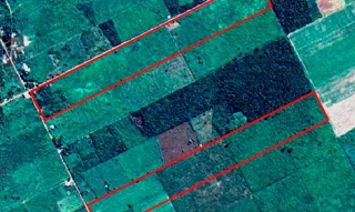 Imóvel 2596603 [''] - ['Nao informado Nao informado'] [''] - ['Goianésia Do Pará']/['PA'] - 1