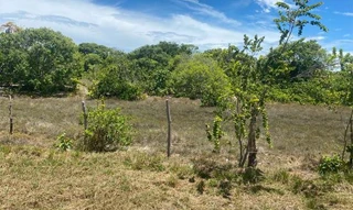 Imóvel 2602703 [''] - ['Rua QZ SN (Lote 33 da Quadra 68)'] [''] - ["Itaporanga D'Ajuda"]/['SE'] - 1